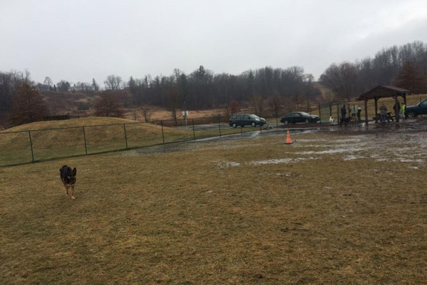 Normanskill Farm Dog Park 3