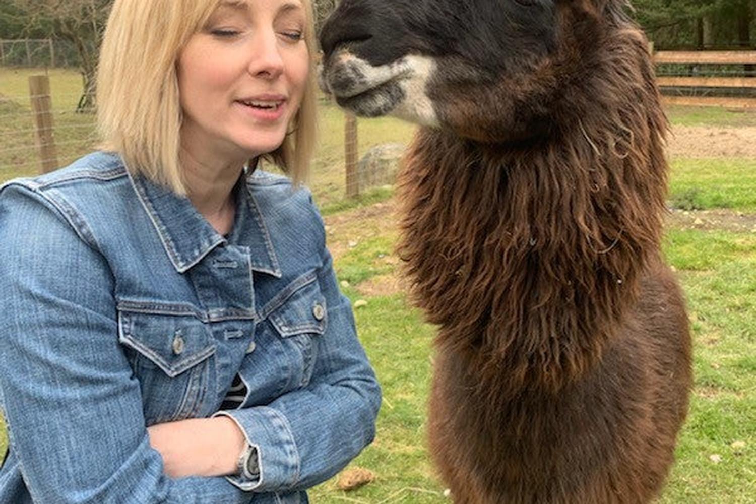 Llamas and Weaving 1