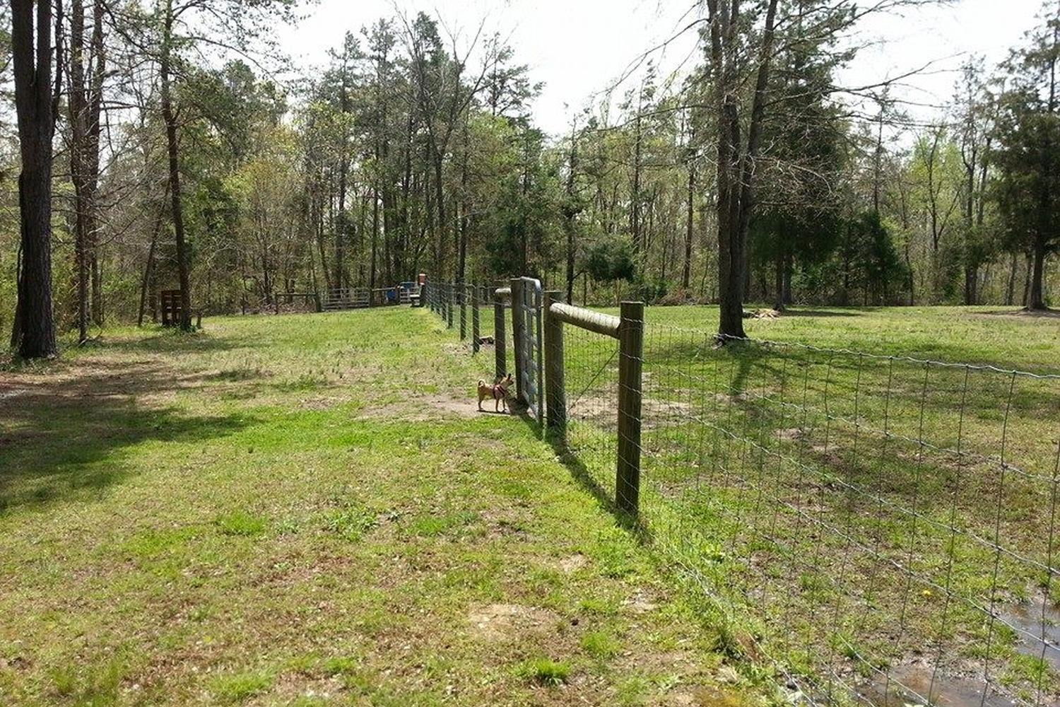 Southwest Park Dog Park 1