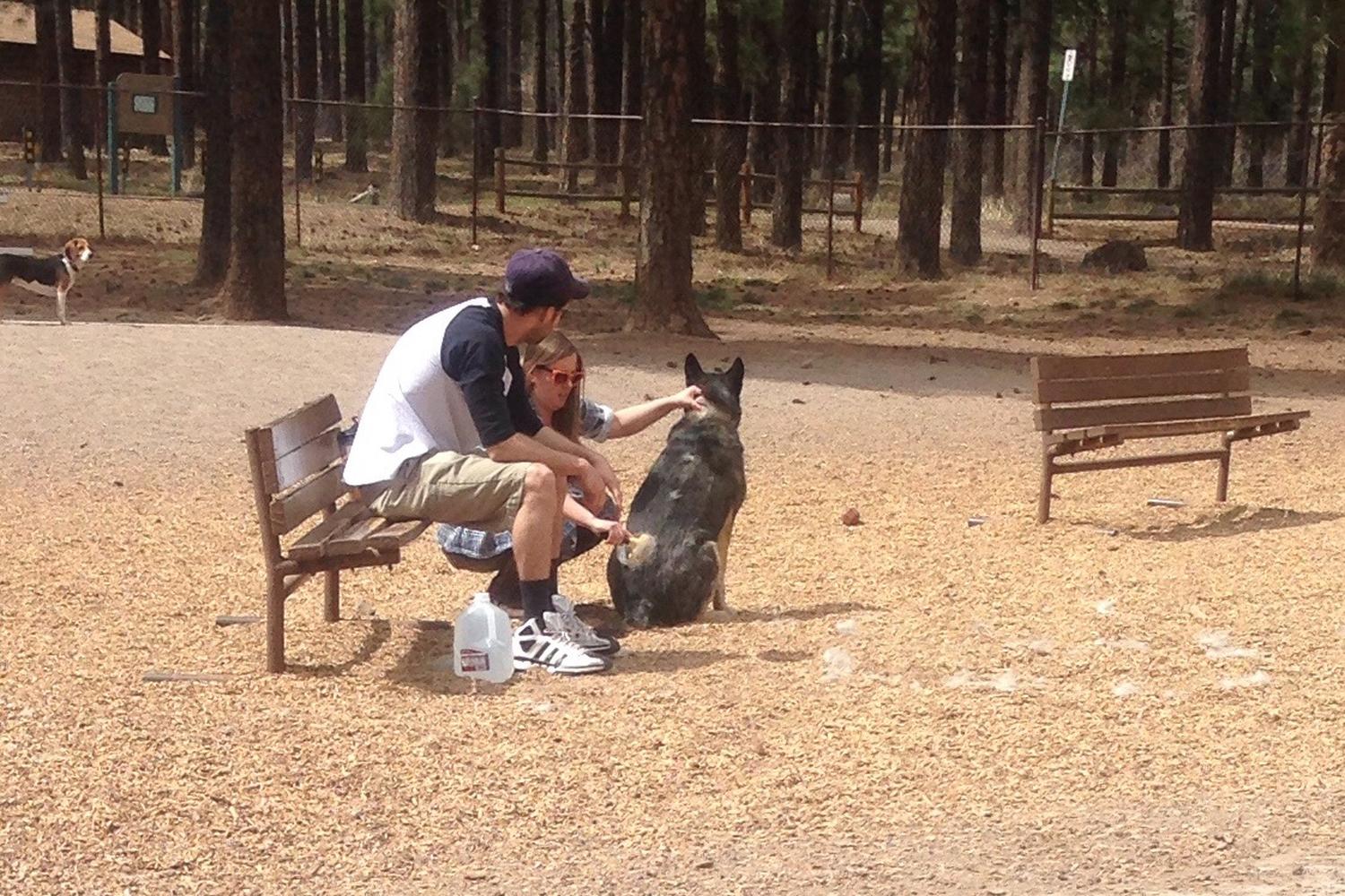 Thorpe Bark Park 1