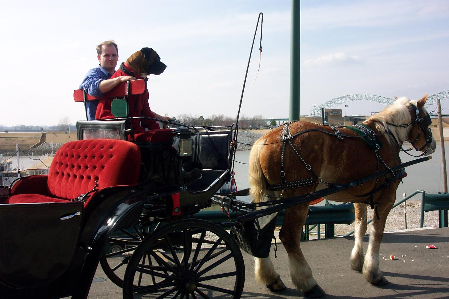 Uptown Carriages Memphis 0