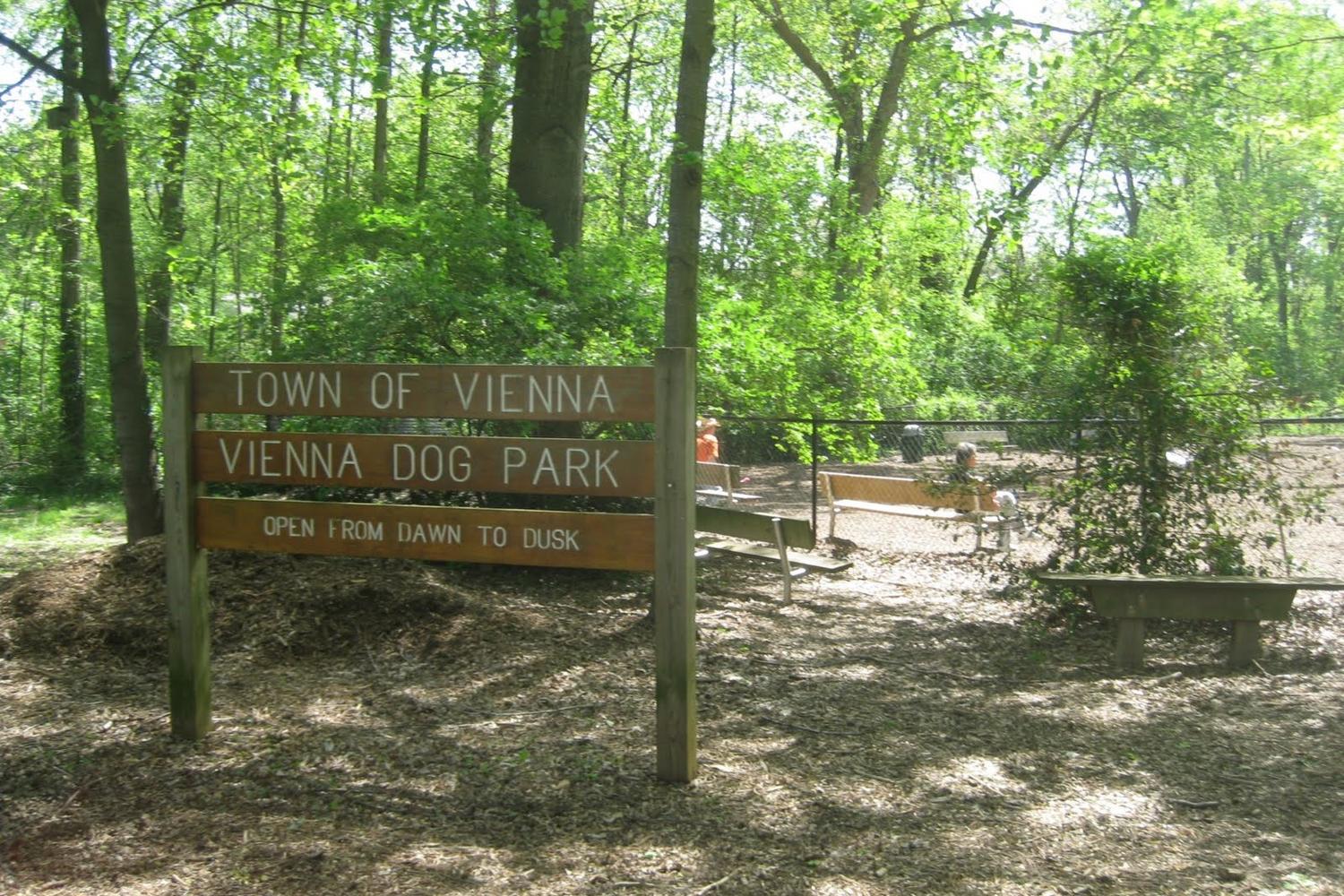 Vienna Dog Park 4