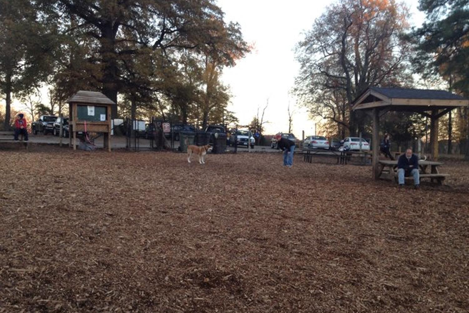 Barker Field at Byrd Park 1