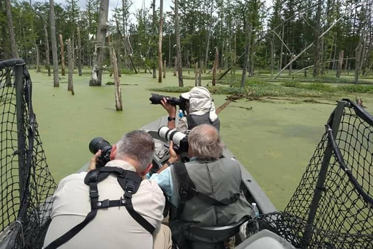 The Atchafalaya Experience 4