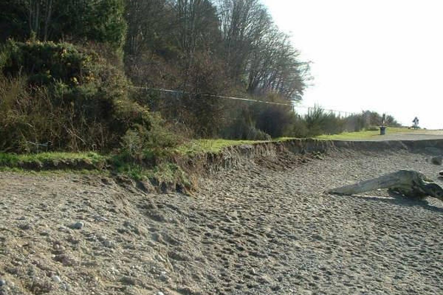 Edmonds Marina Beach Off-Leash Dog Park 3