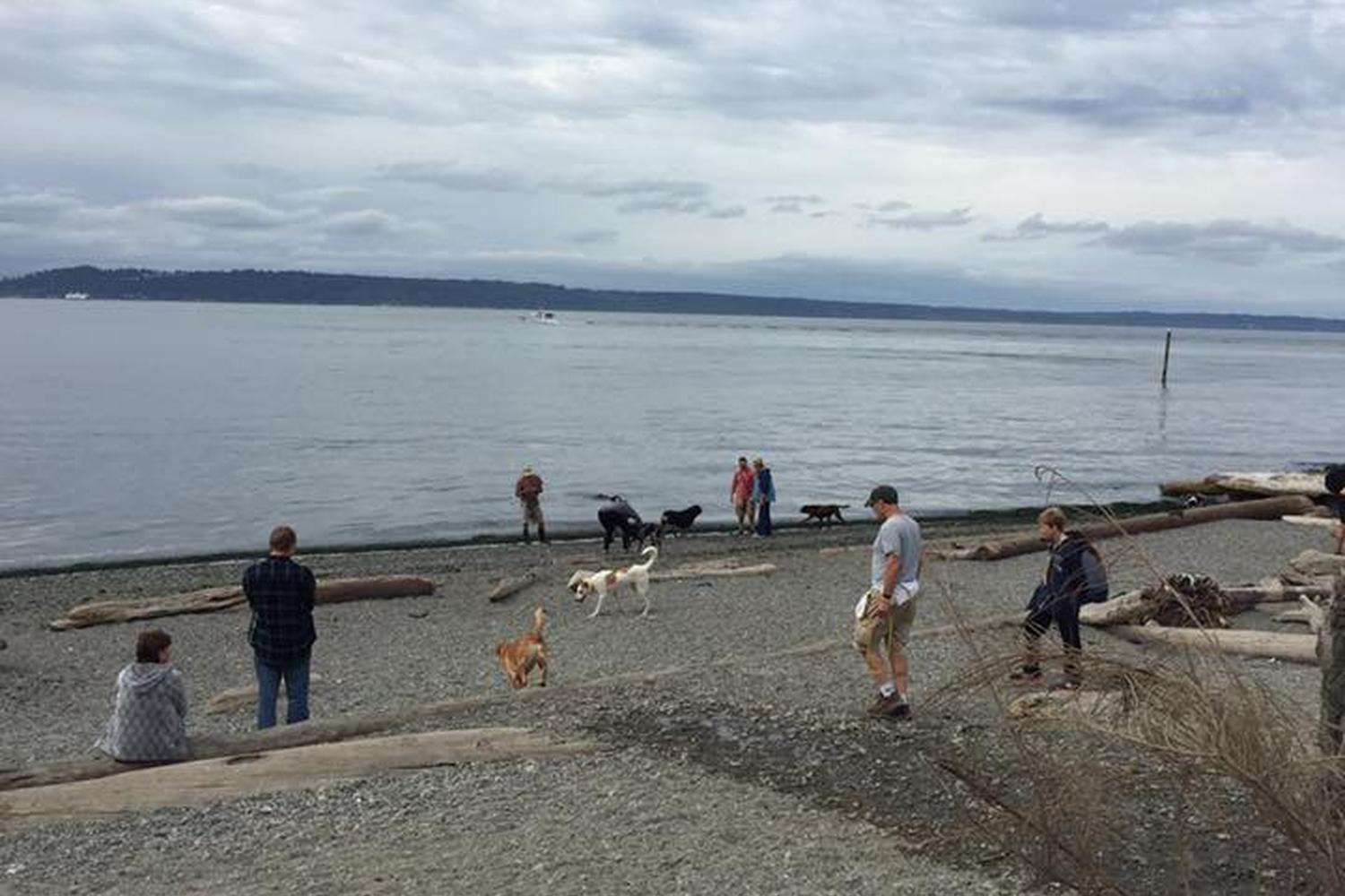 Edmonds Marina Beach Off-Leash Dog Park 1