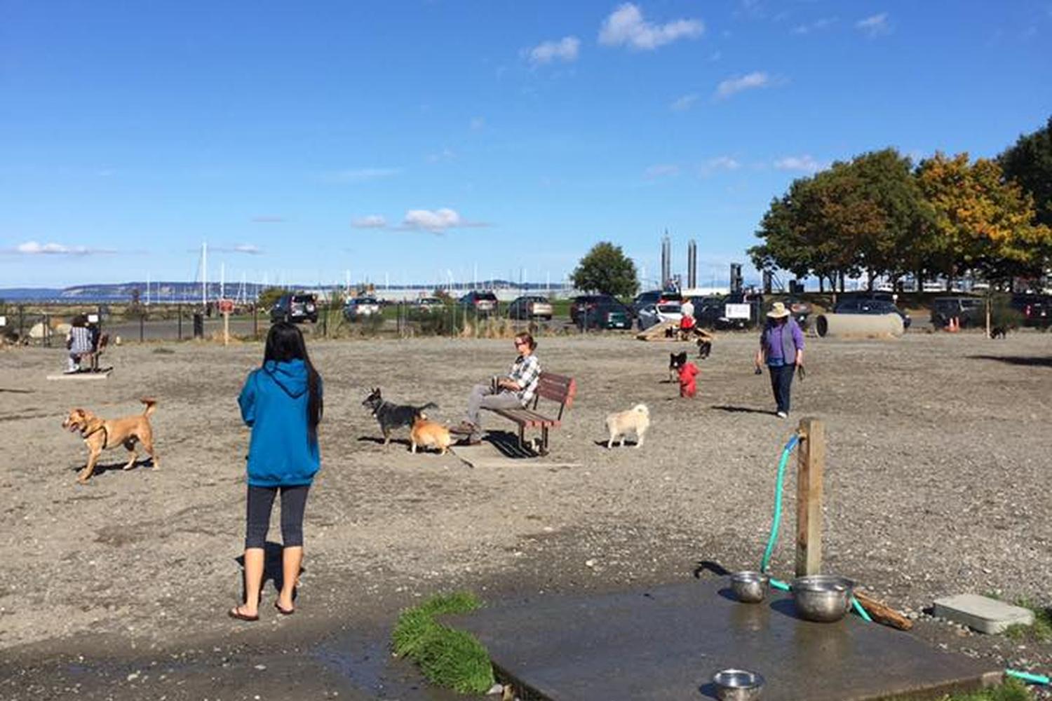 Edmonds Marina Beach Off-Leash Dog Park 0