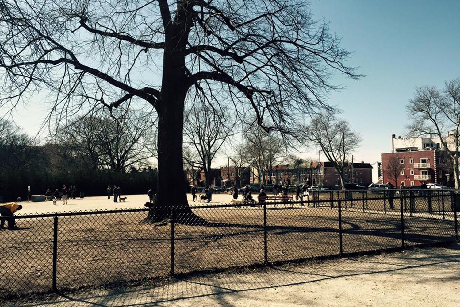 Dyker Beach Park Dog Run 5