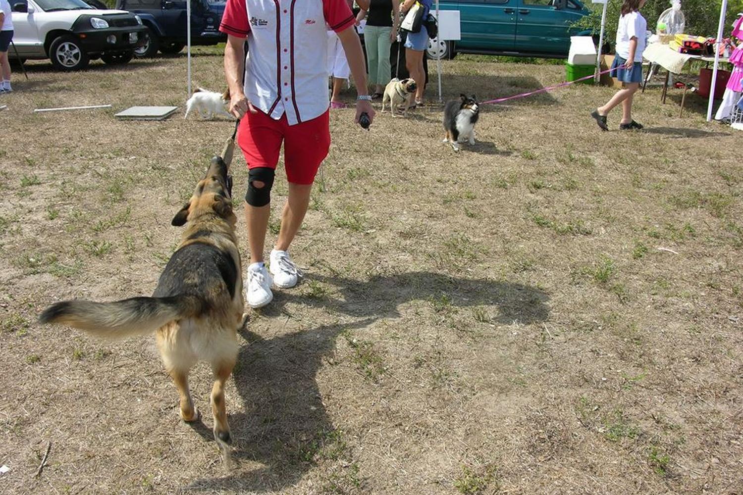Waggin Tails Dog Park at Rotary Park 1