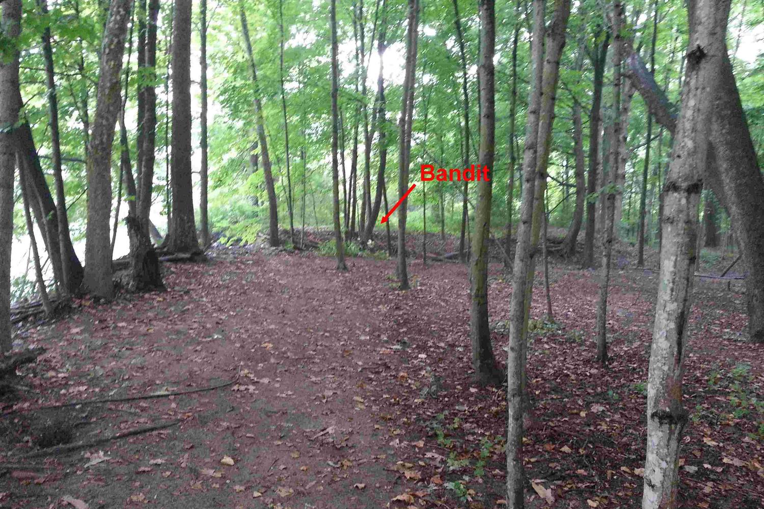 Southbury Dog Park 7