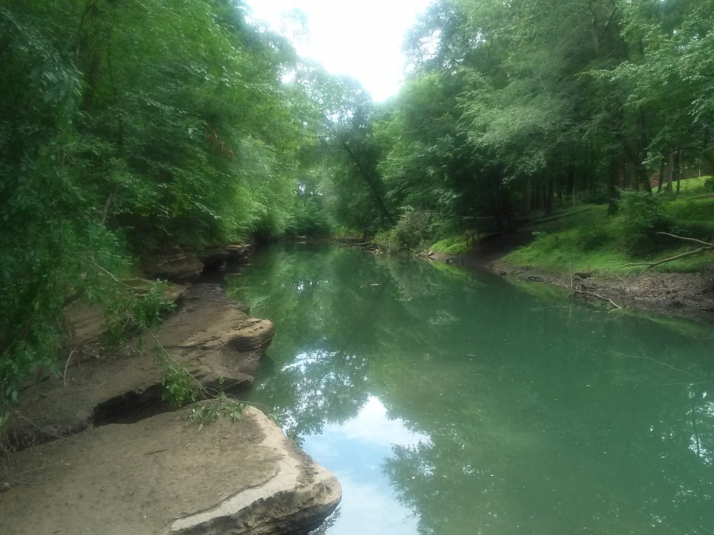 Greenway Farm Dog Park  2