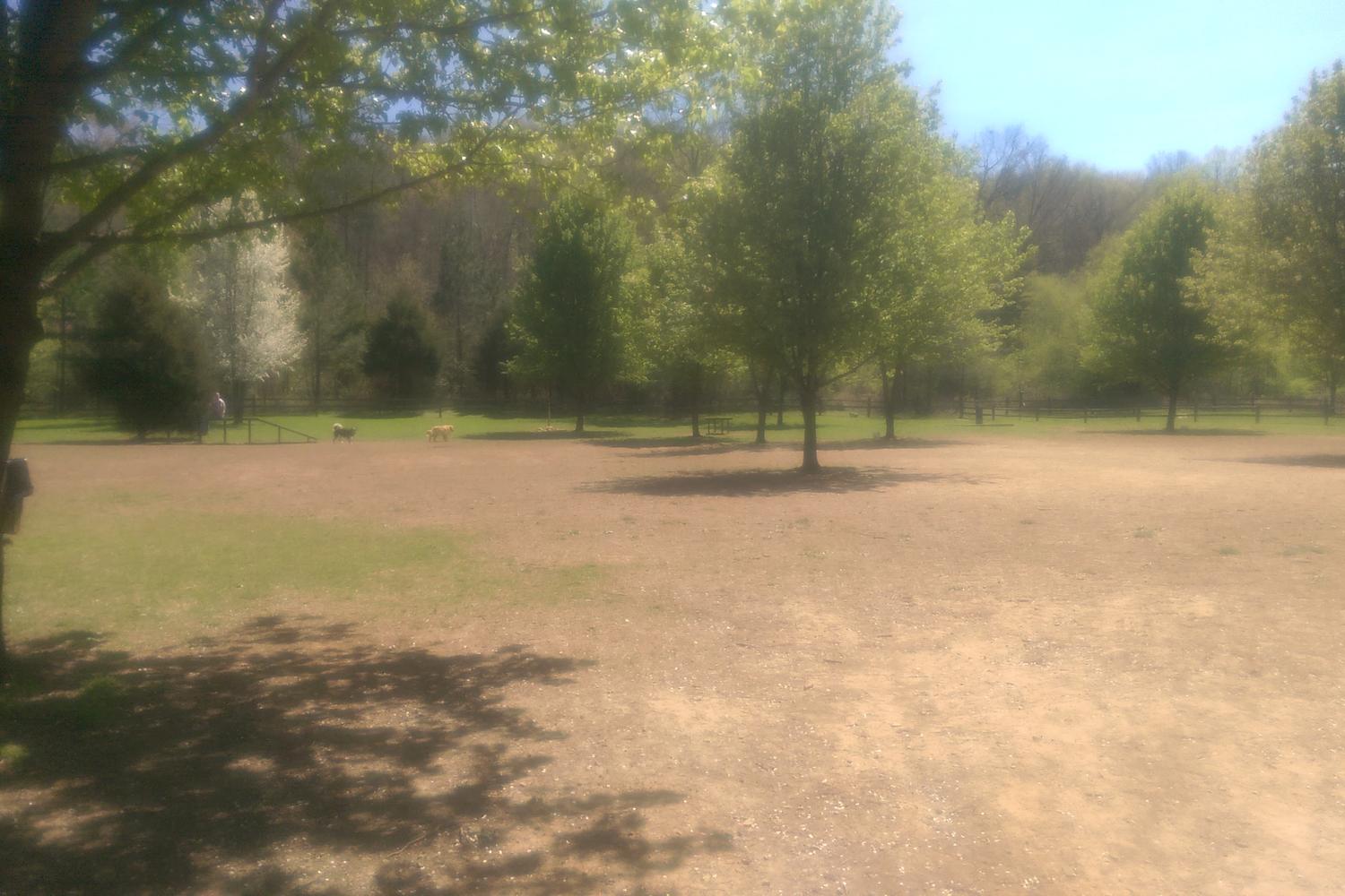 Greenway Farm Dog Park  4