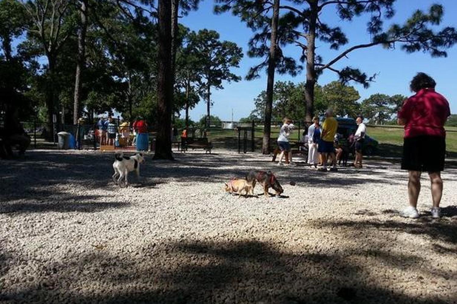 Ed Austin Dog Park 6
