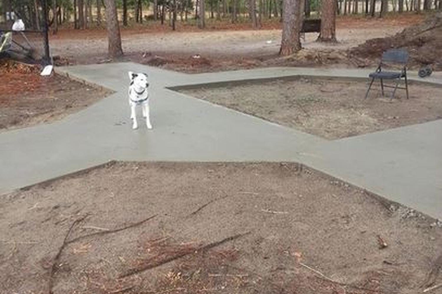 Ed Austin Dog Park 5