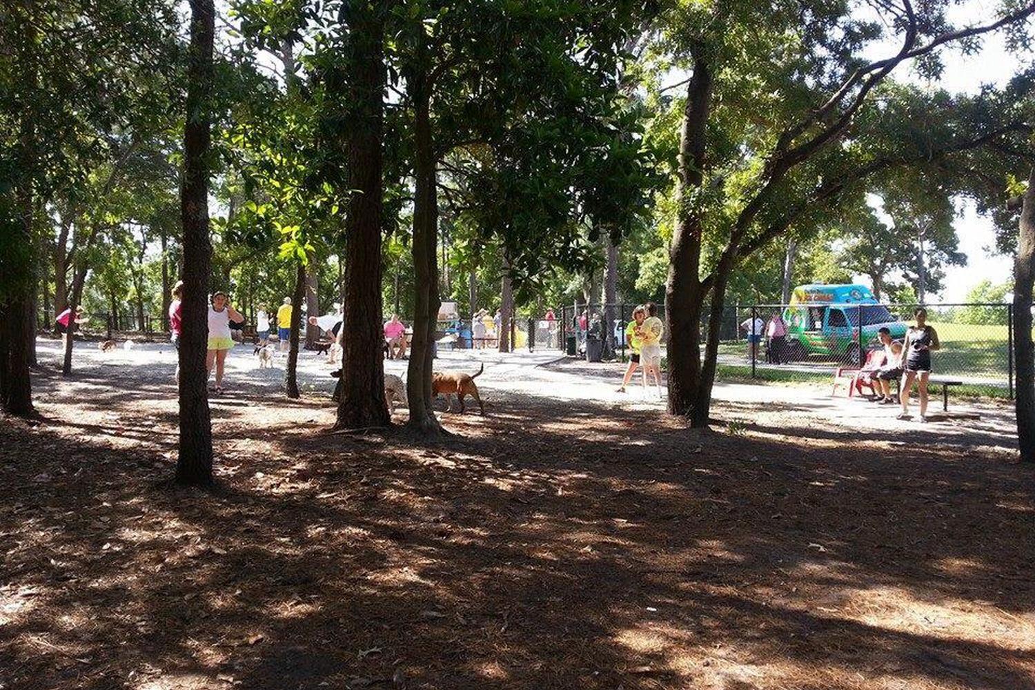 Ed Austin Dog Park 3