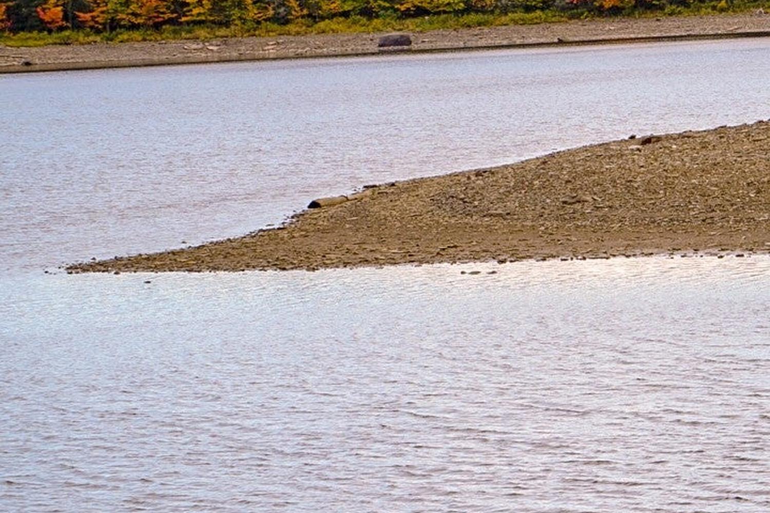 Connecticut River Canoe and Kayak Tour 3