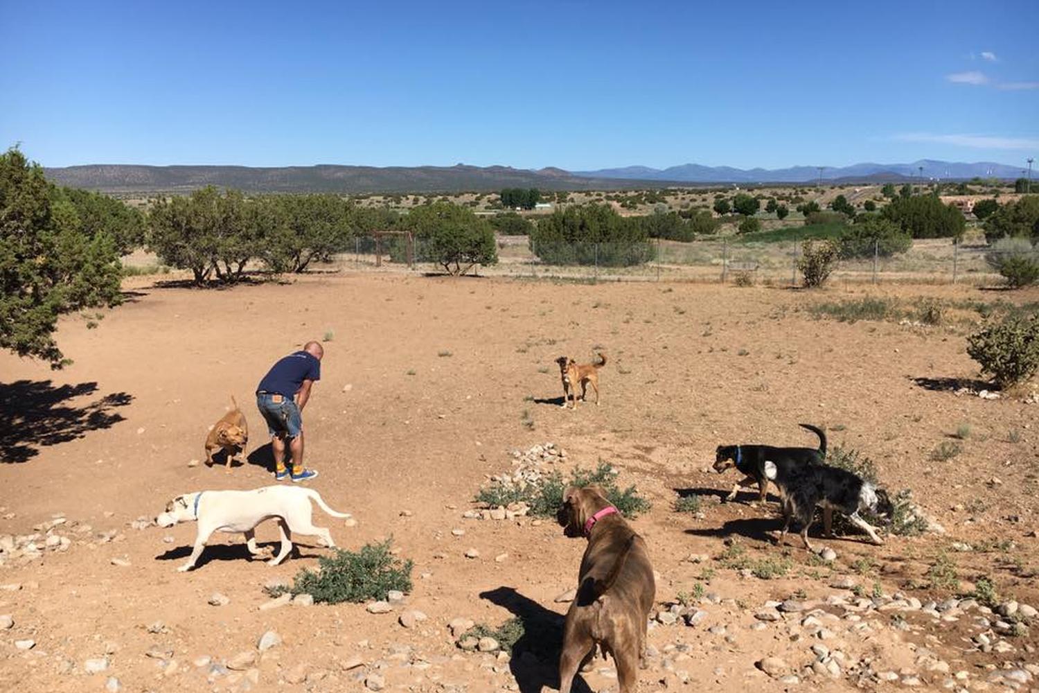 Santa Fe Animal Shelter Dog Park 3