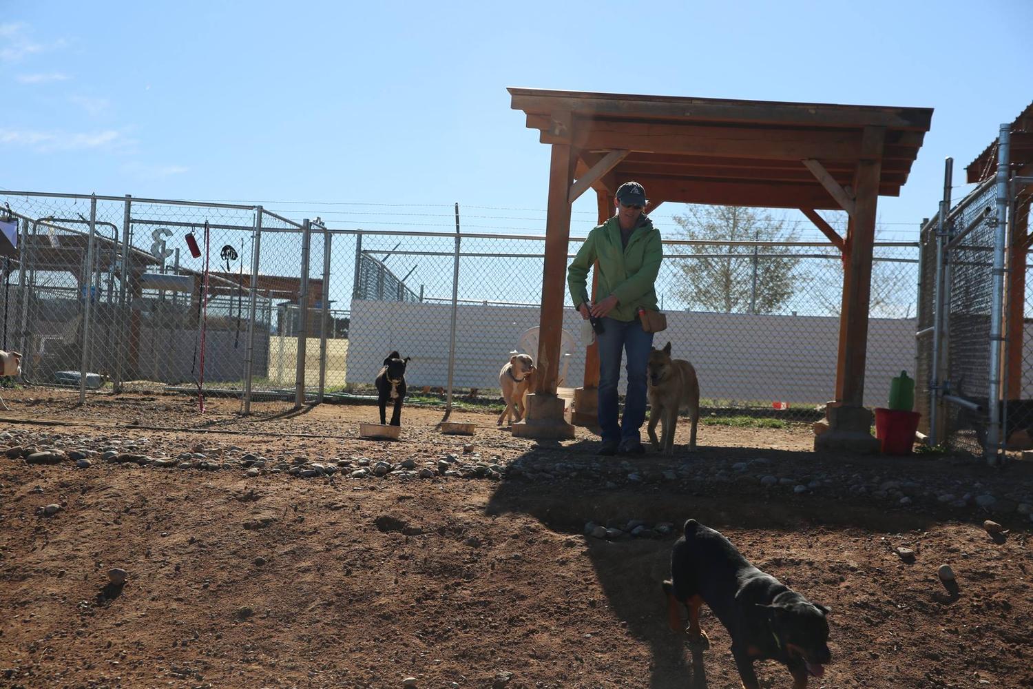 Santa Fe Animal Shelter Dog Park 4