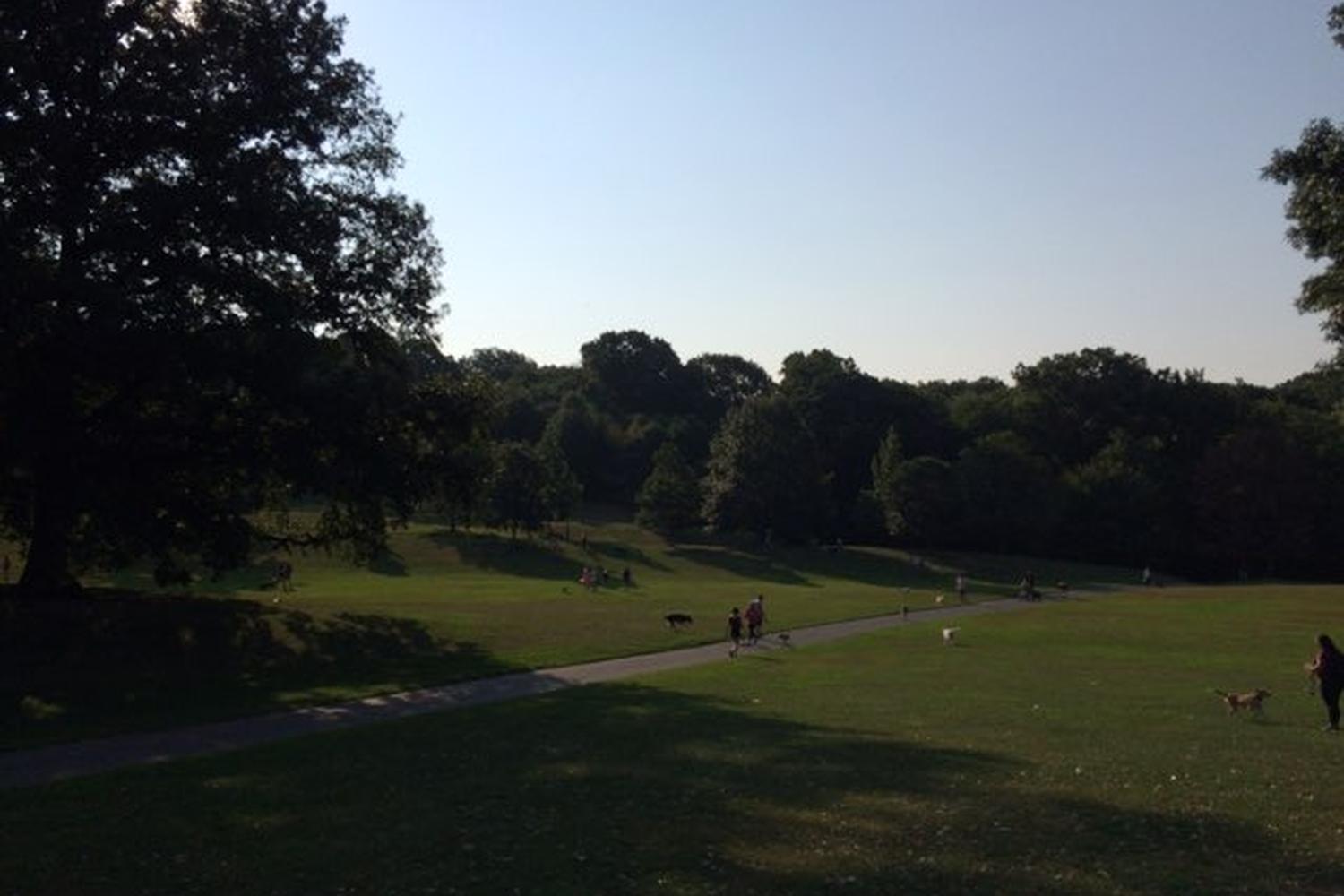 Prospect Park Dog Beach 5
