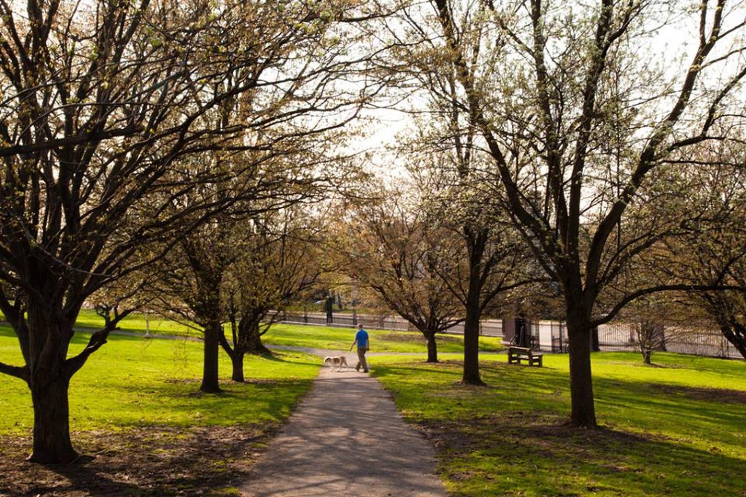 Riverview Dog Park 2