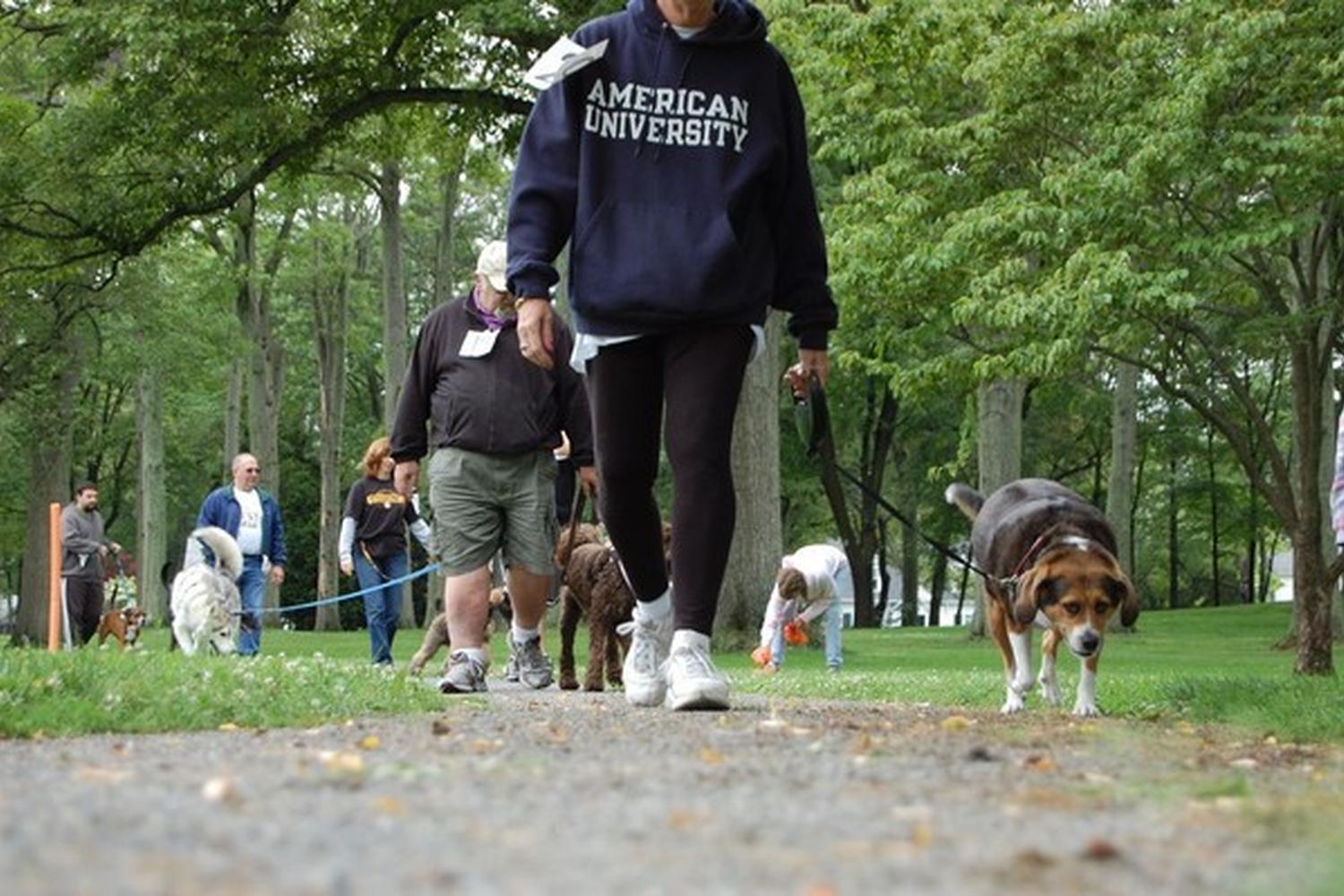 Attleboro Dog Park 4