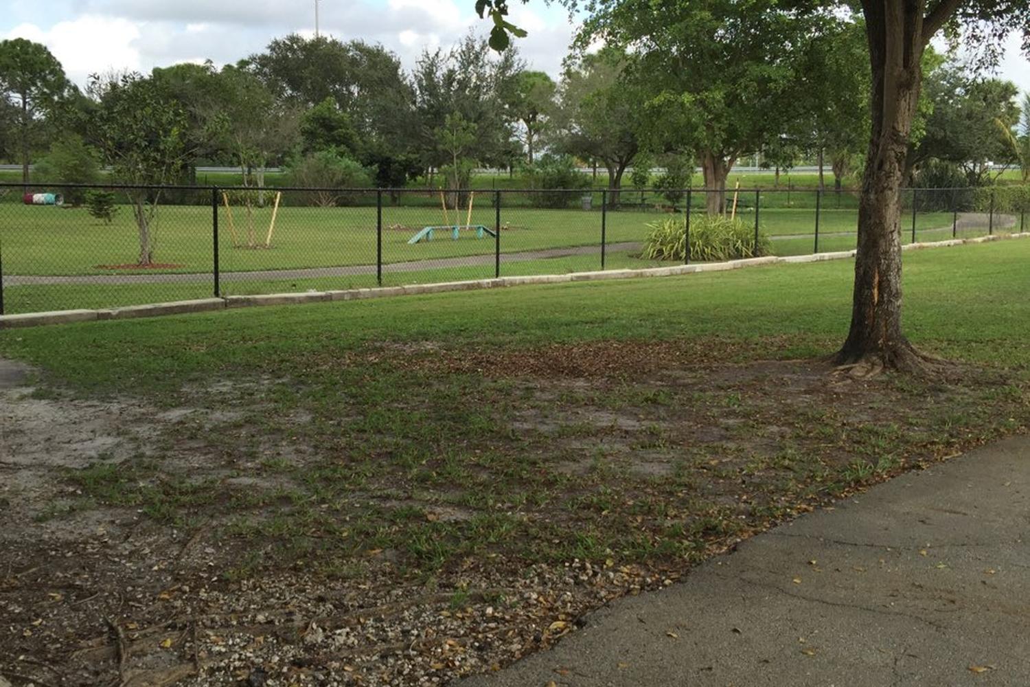 Amelia Earhart Dog Park 1