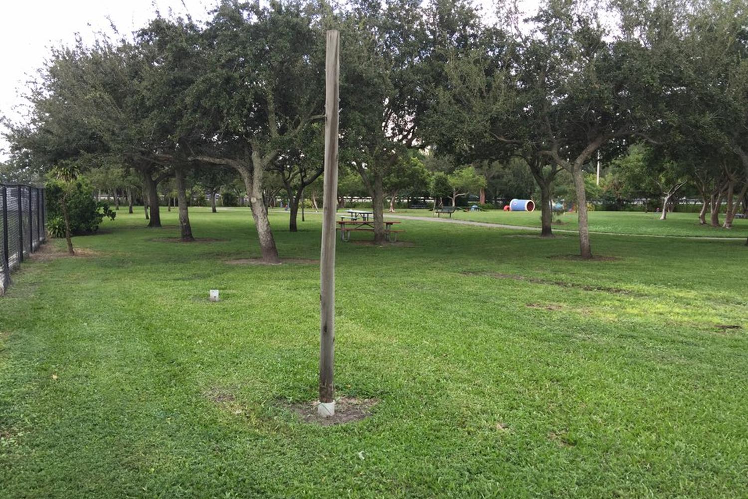 Amelia Earhart Dog Park 4