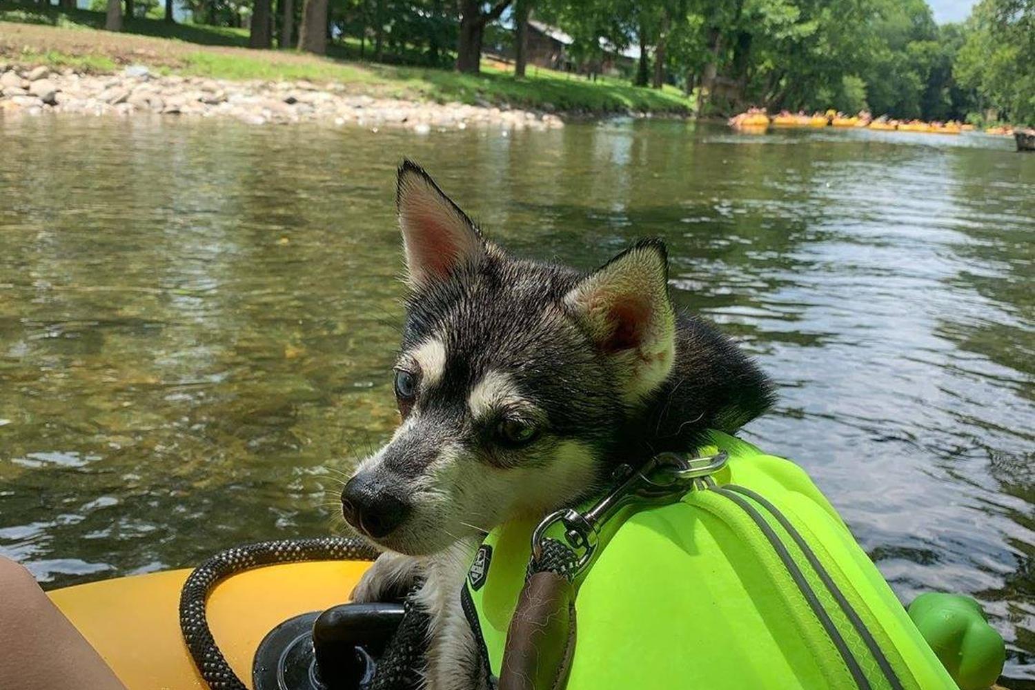 Smoky Mountain River Rat Tubing 4