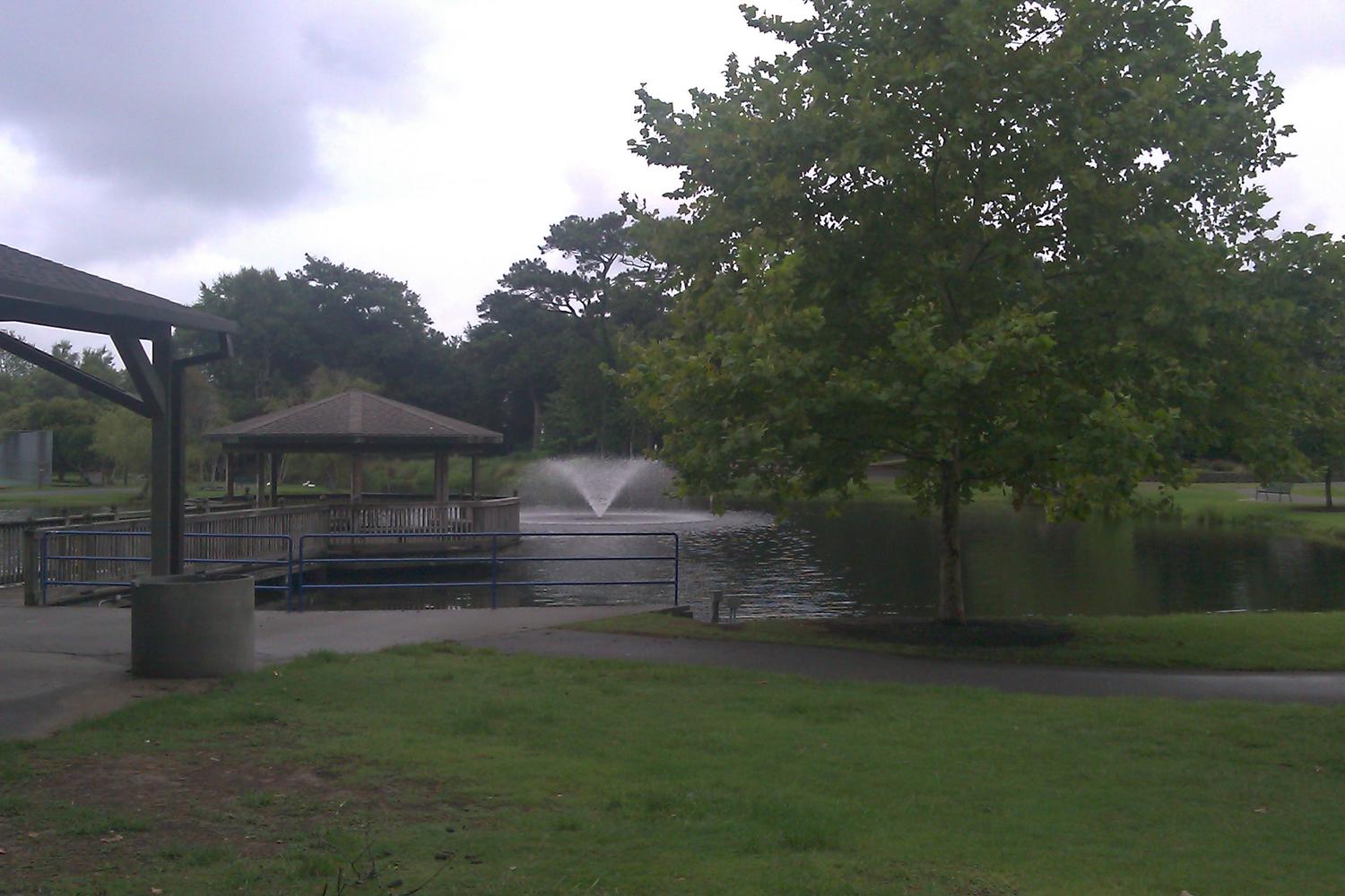 McLean Park 2