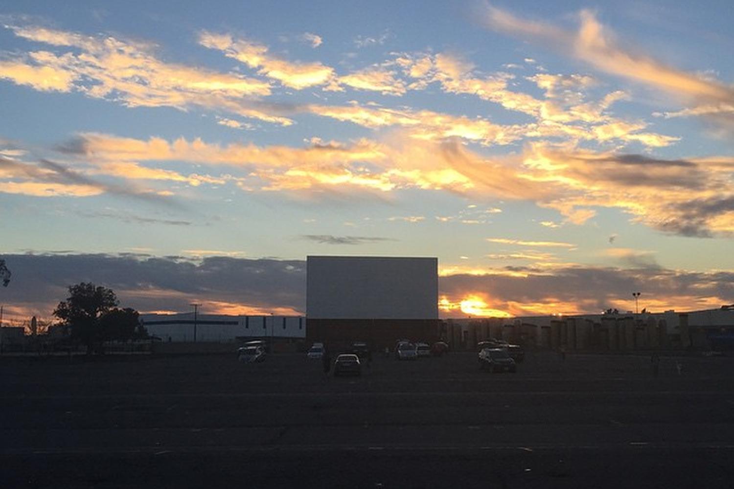 Vineland Drive-In 5