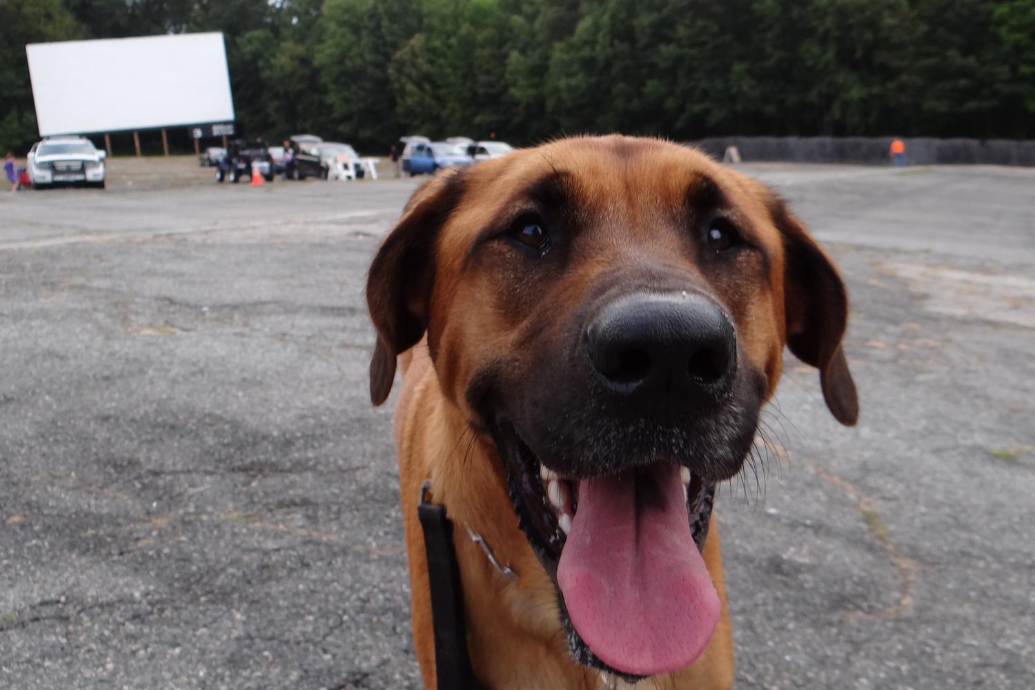 Rustic Tri View Drive In 2