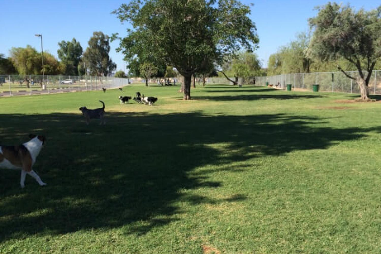 Paradise Valley Dog Park 4