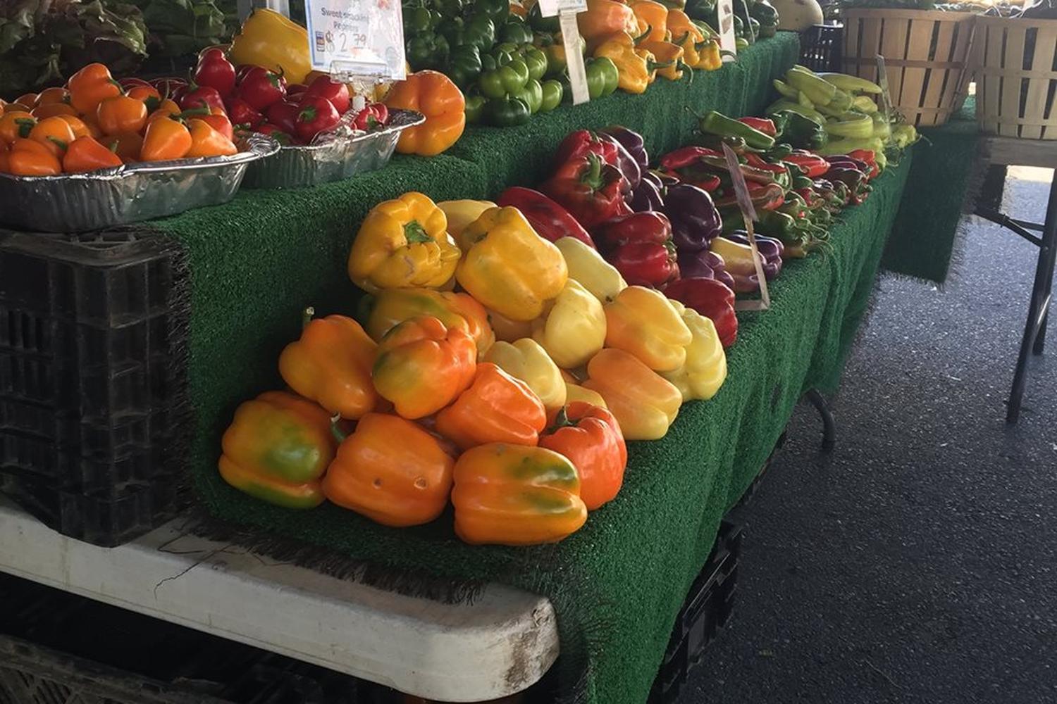 Alstede Farms 1