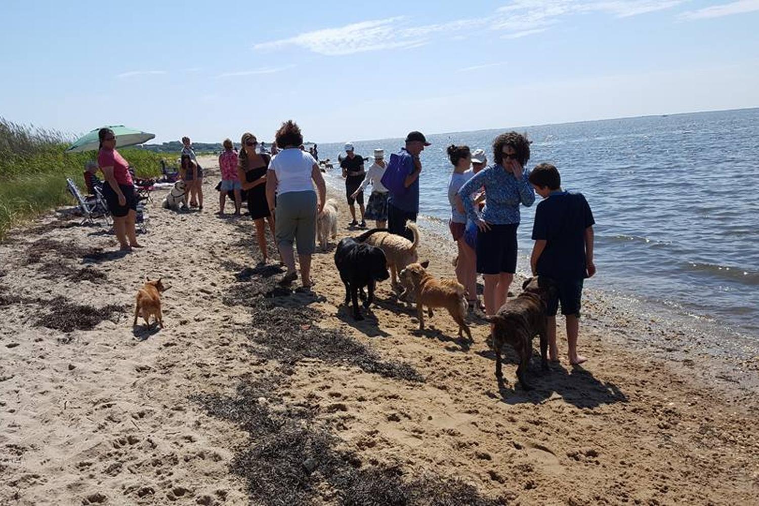 Mud Creek Dog Park 3