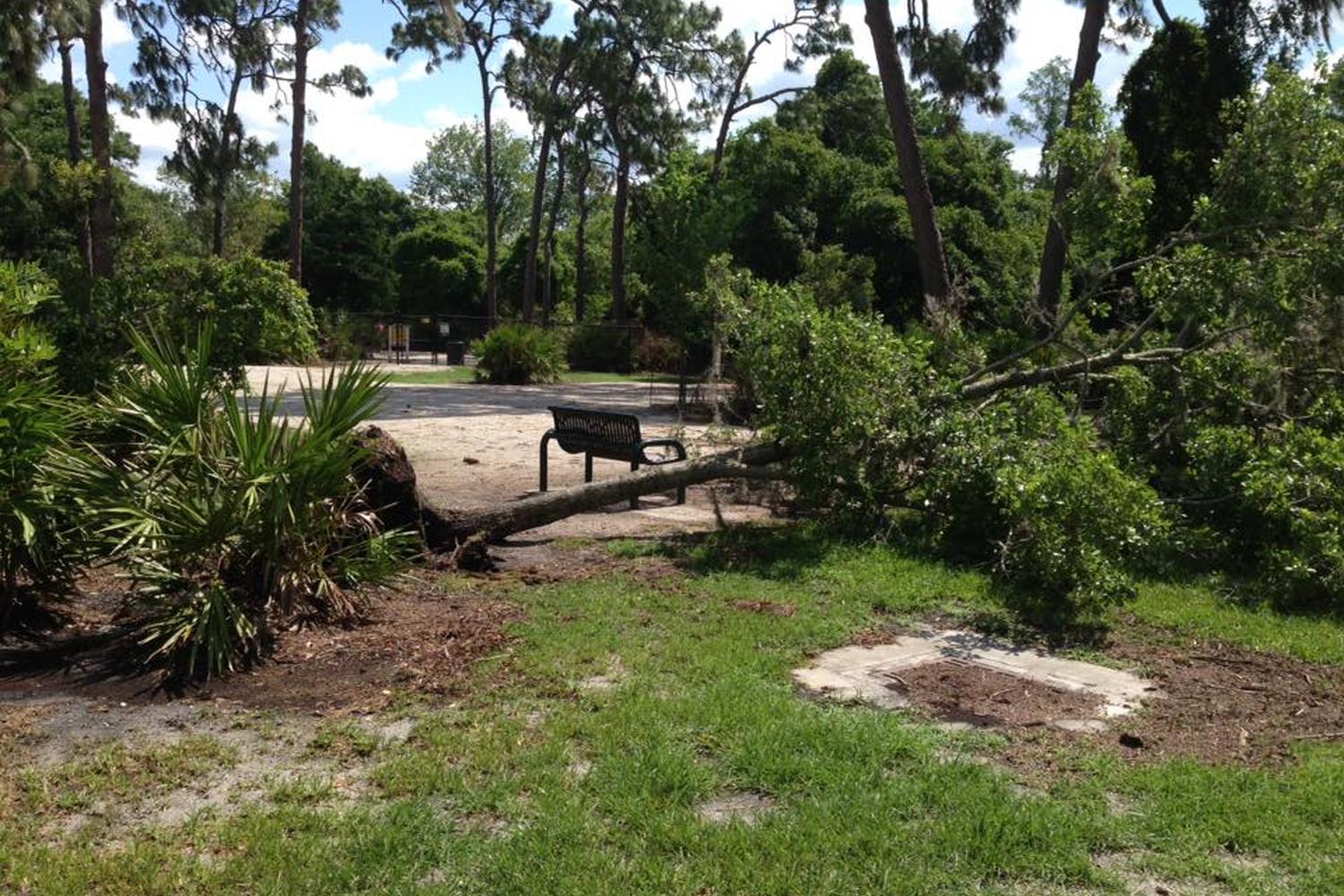 Enterprise Dog Park 1