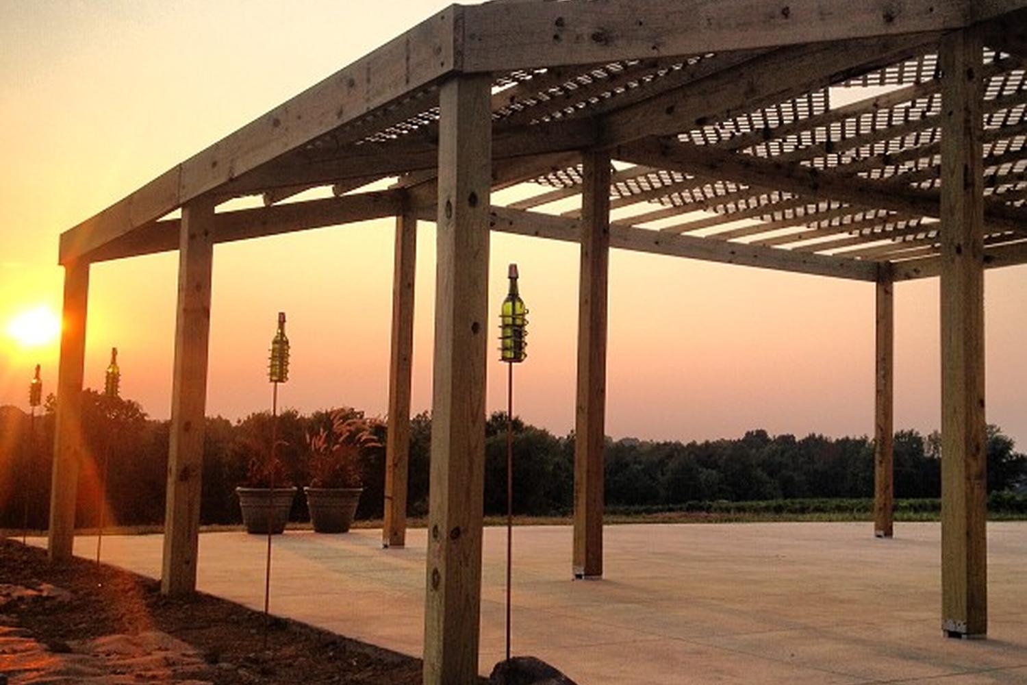 Alto Vineyards 6