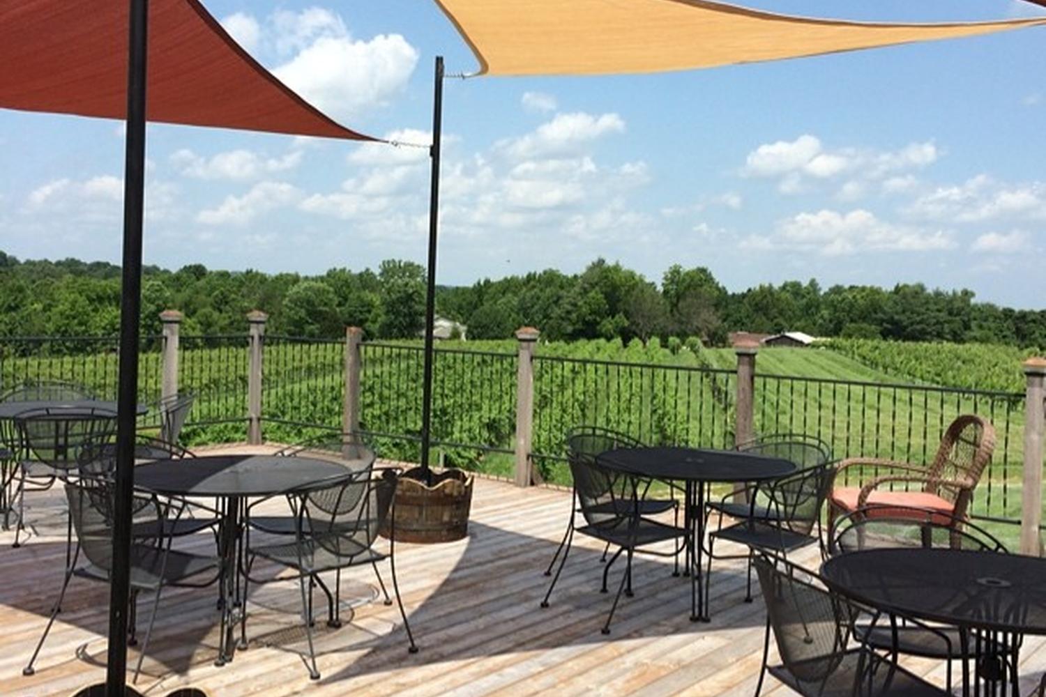 Alto Vineyards 2