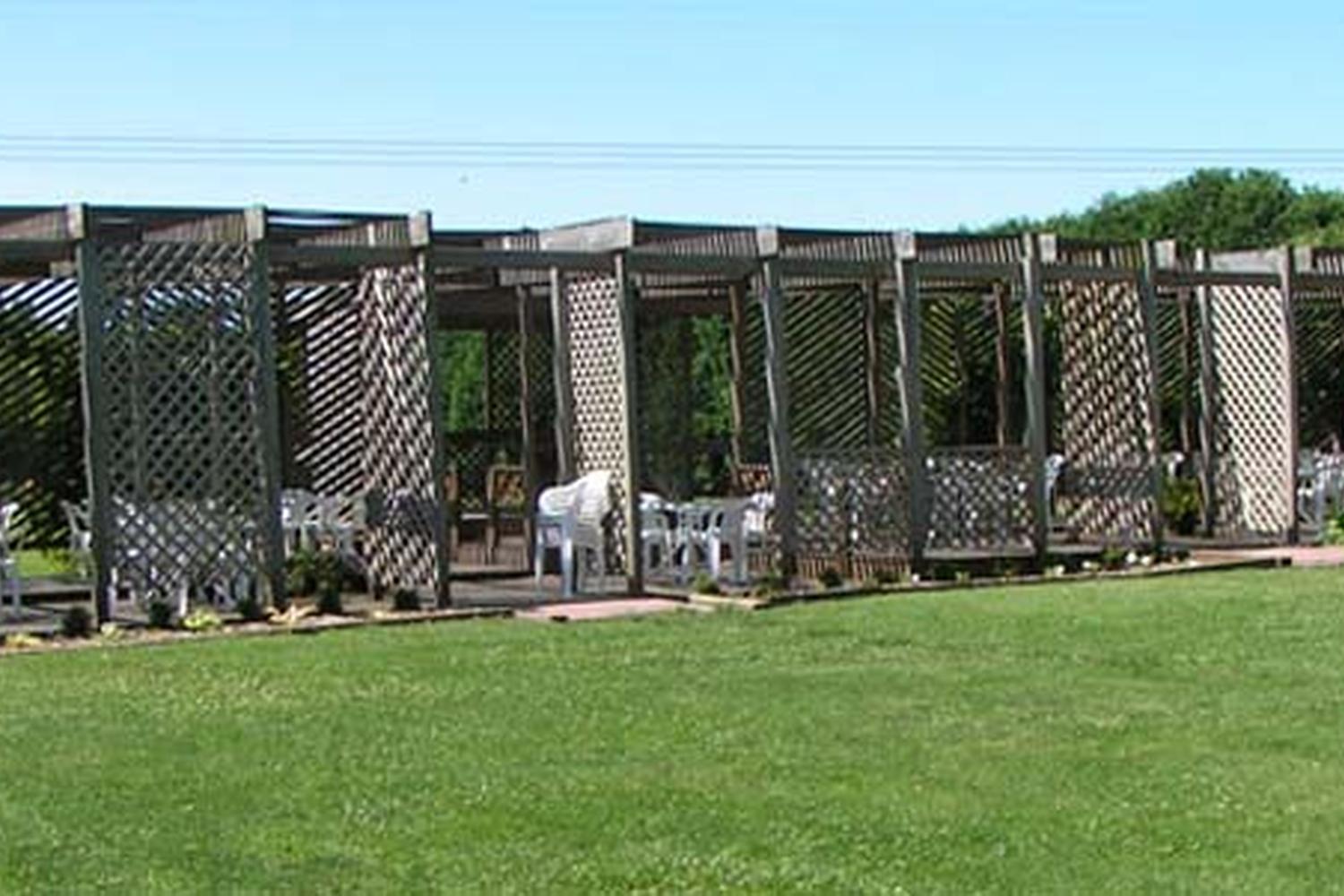 Alto Vineyards 0