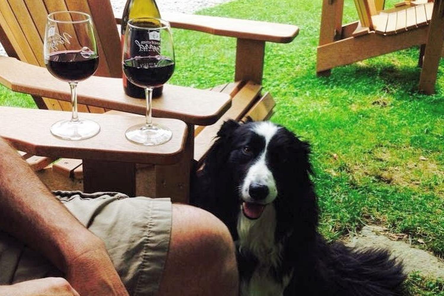 Grandfather Vineyard Winery 4
