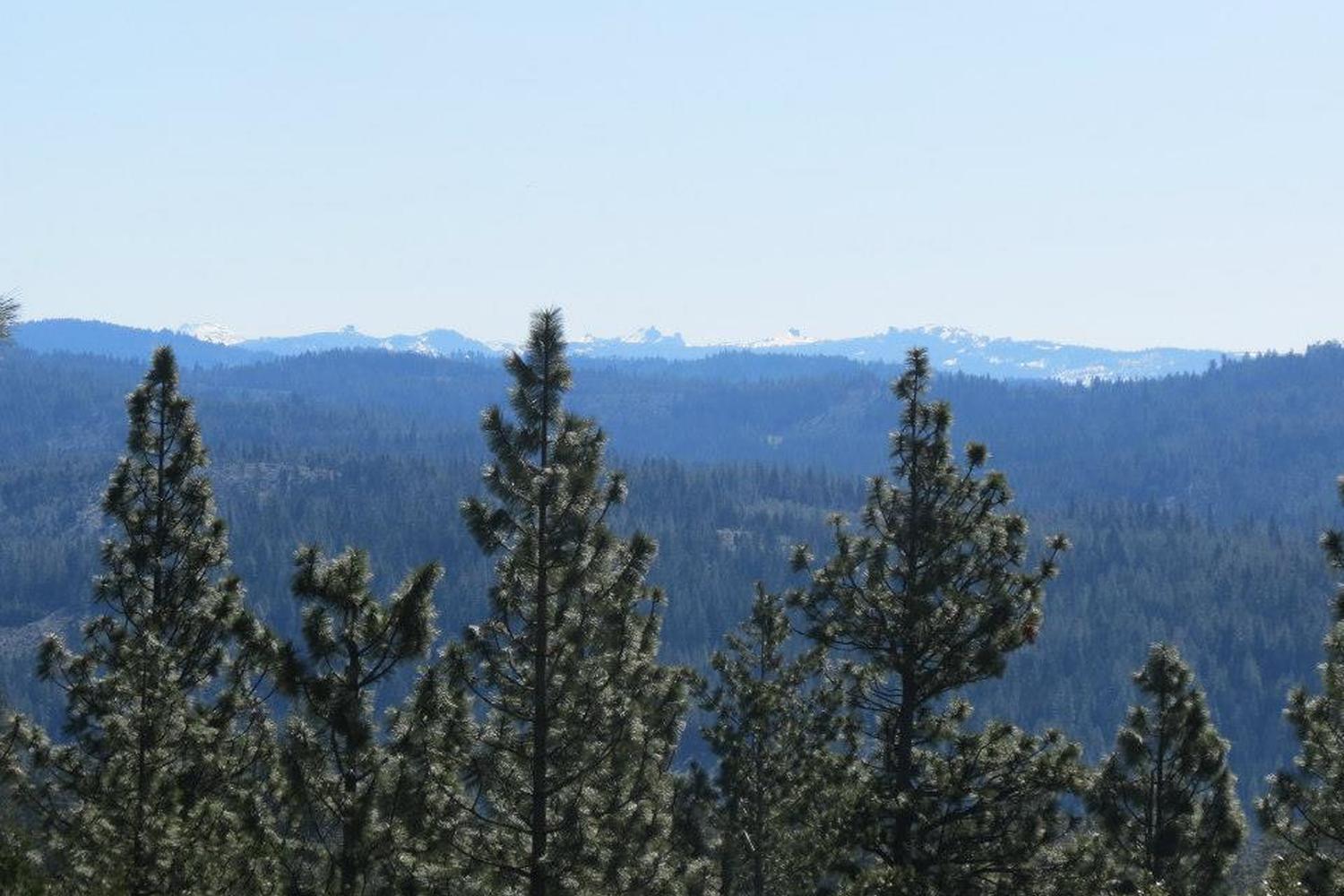Calaveras Big Trees State Park 2