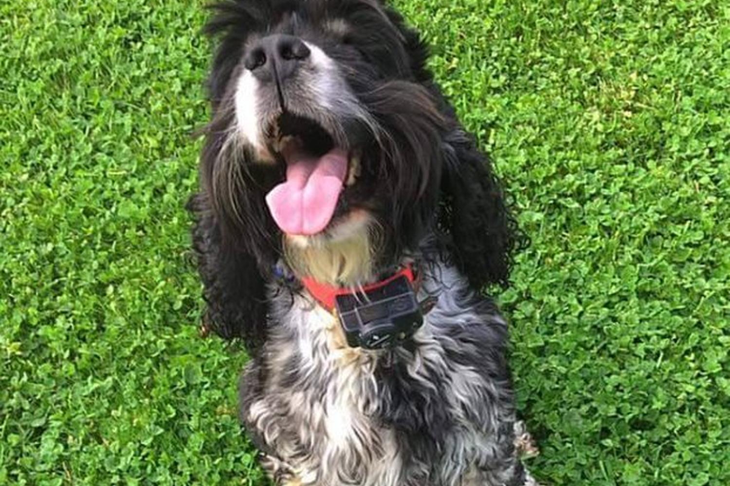 Hightower Brewing Company 1