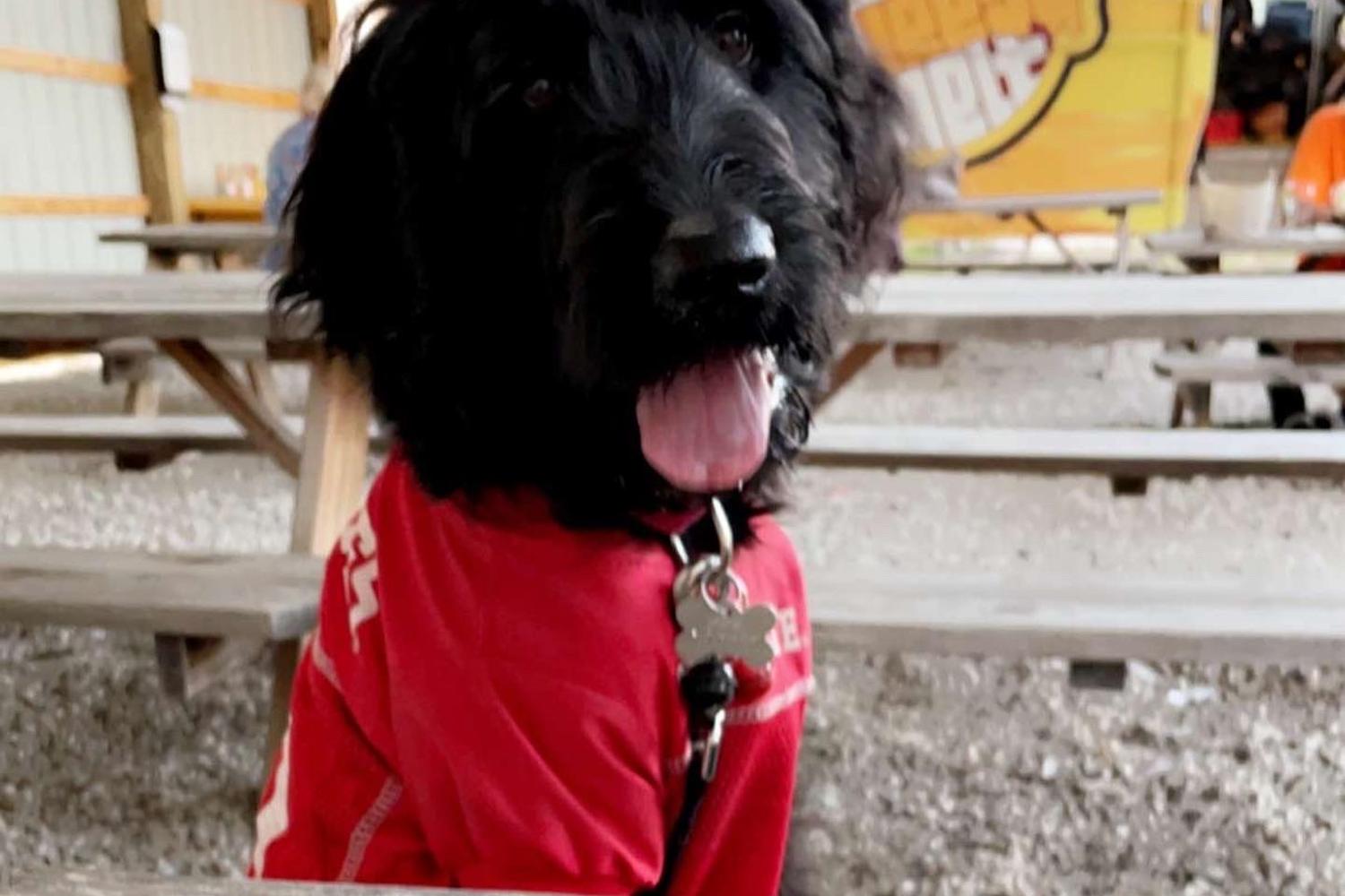 Hightower Brewing Company 9