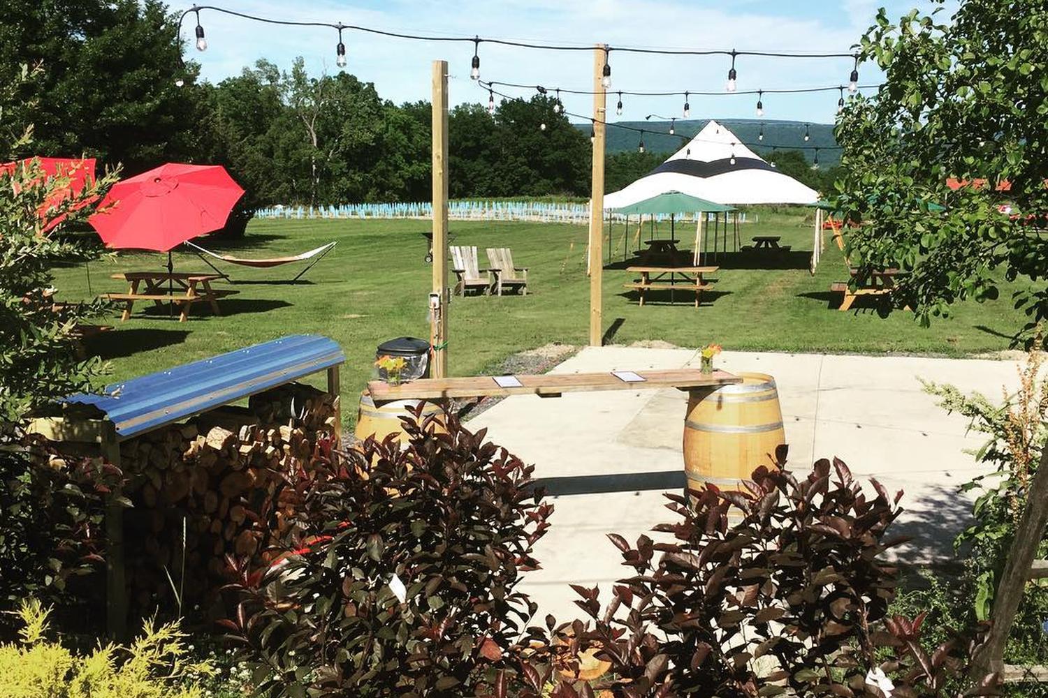 Barnstormer Winery 5