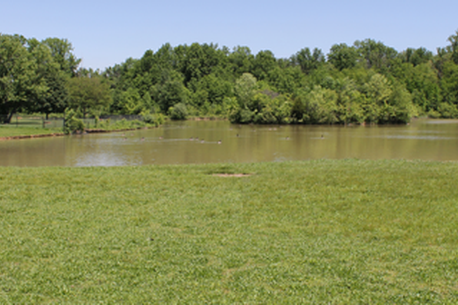 Big Walnut Dog Park 0