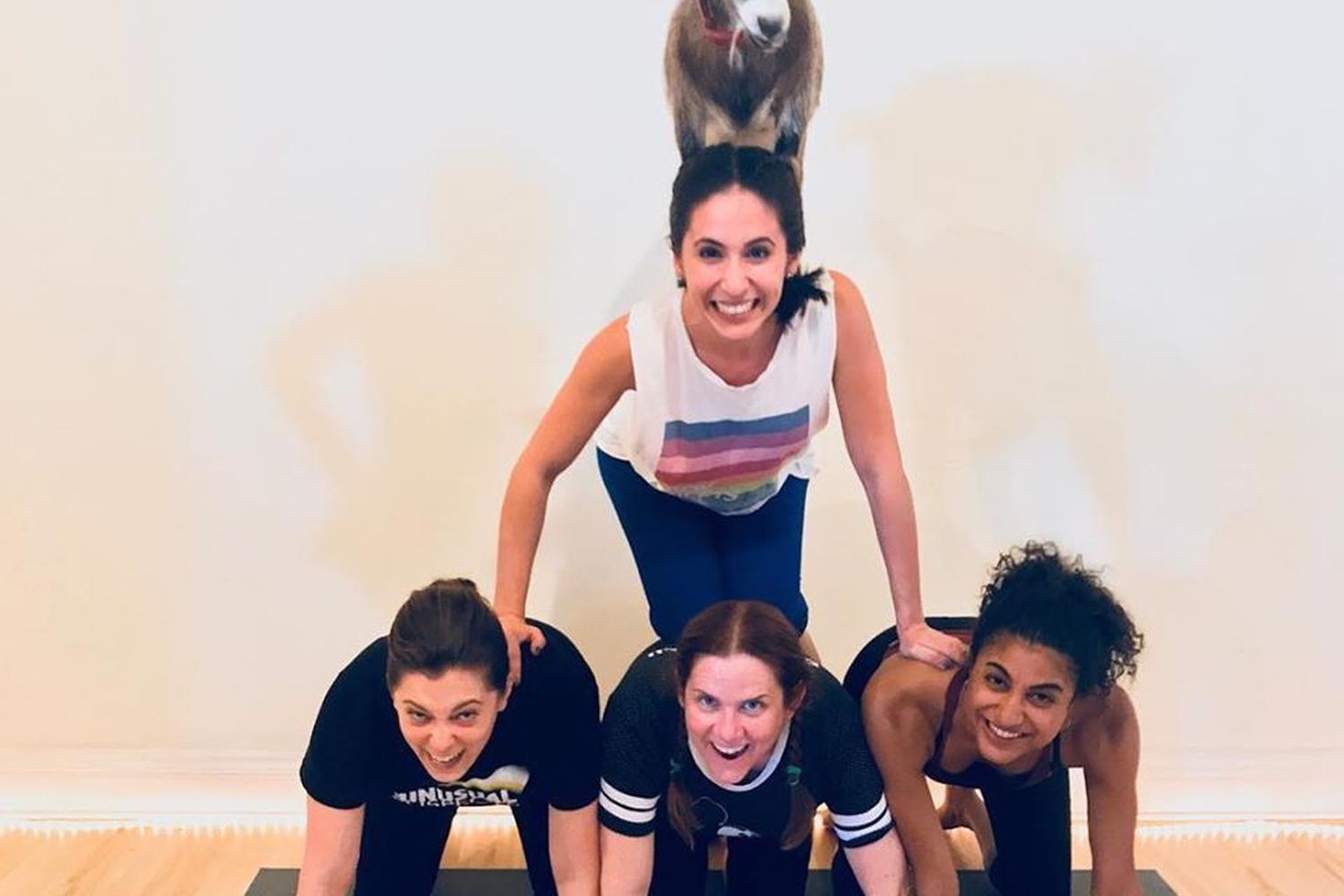 Puppy Yoga at Laughing Frog Yoga 5