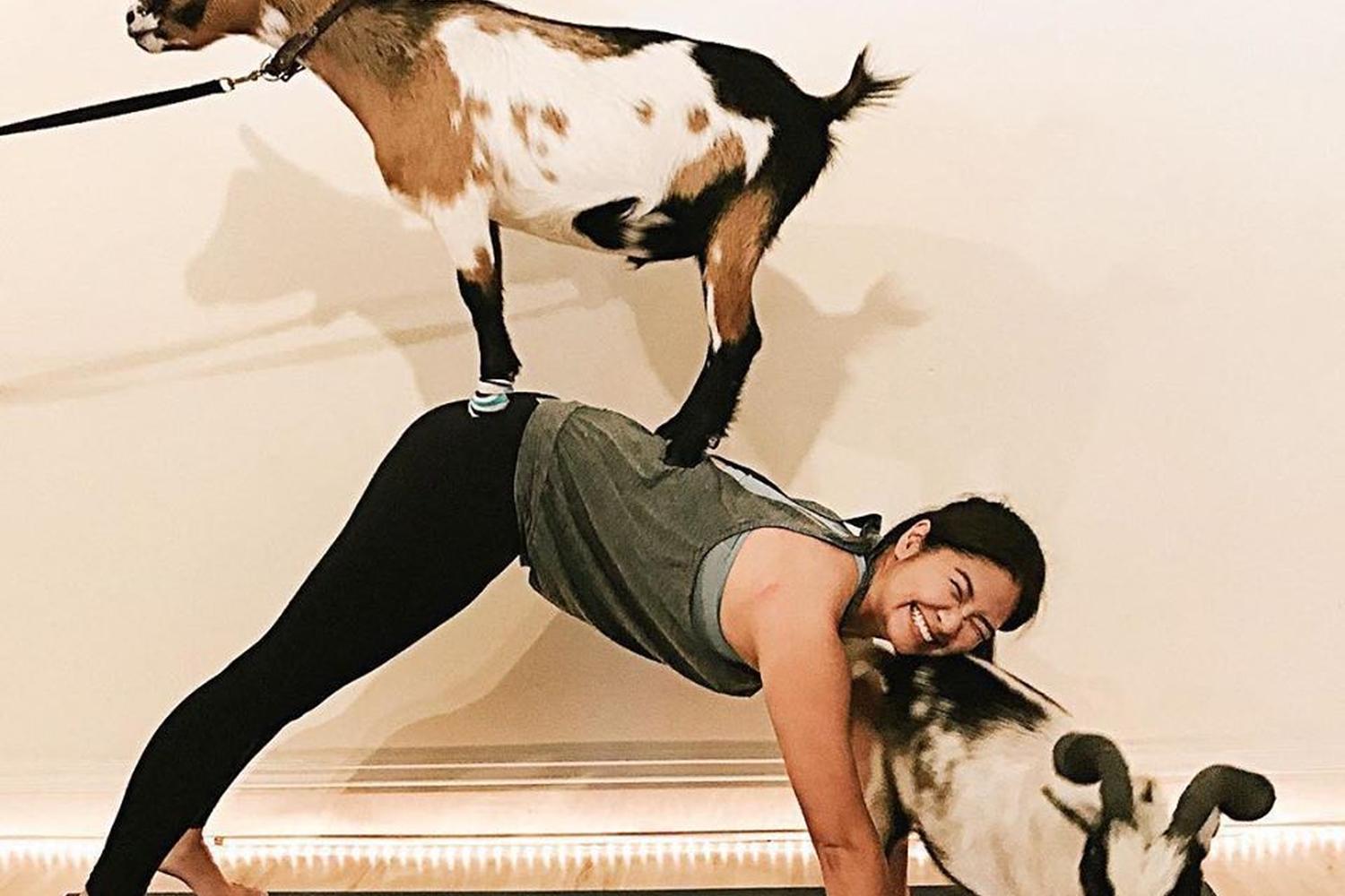 Puppy Yoga at Laughing Frog Yoga 2