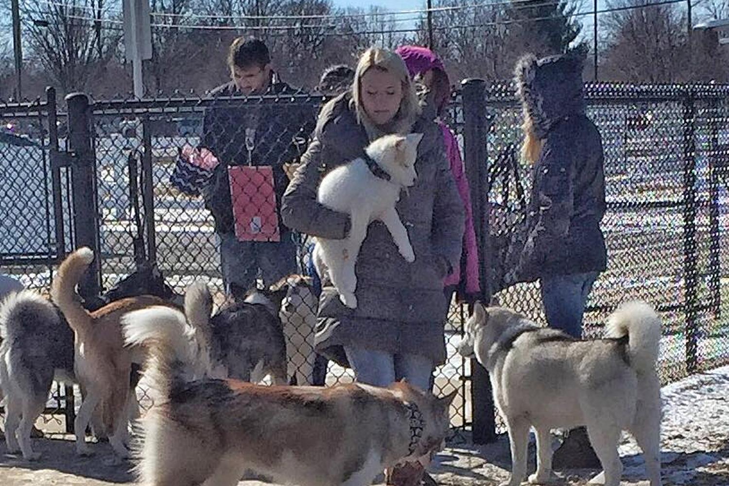 Smock Bark Park 4