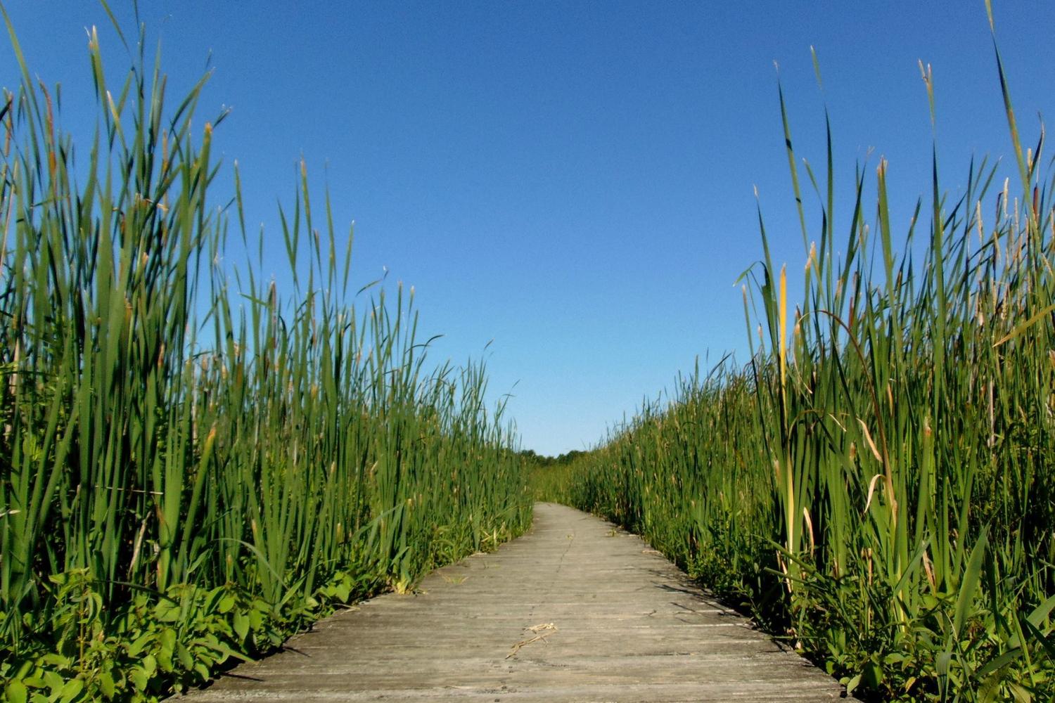 Moraine Hills State Park 2