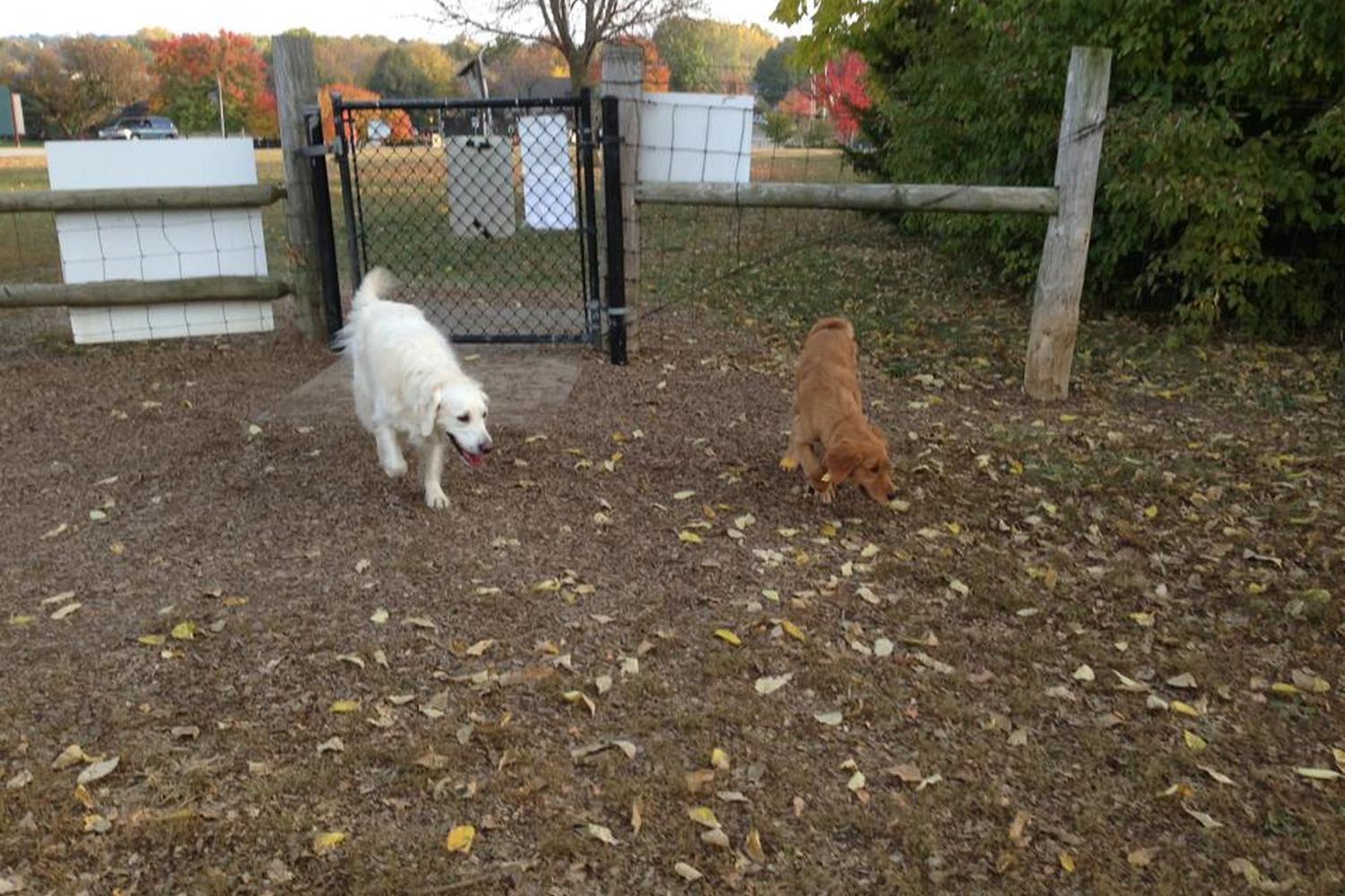 Thomas S. Stoll Dog Park 2