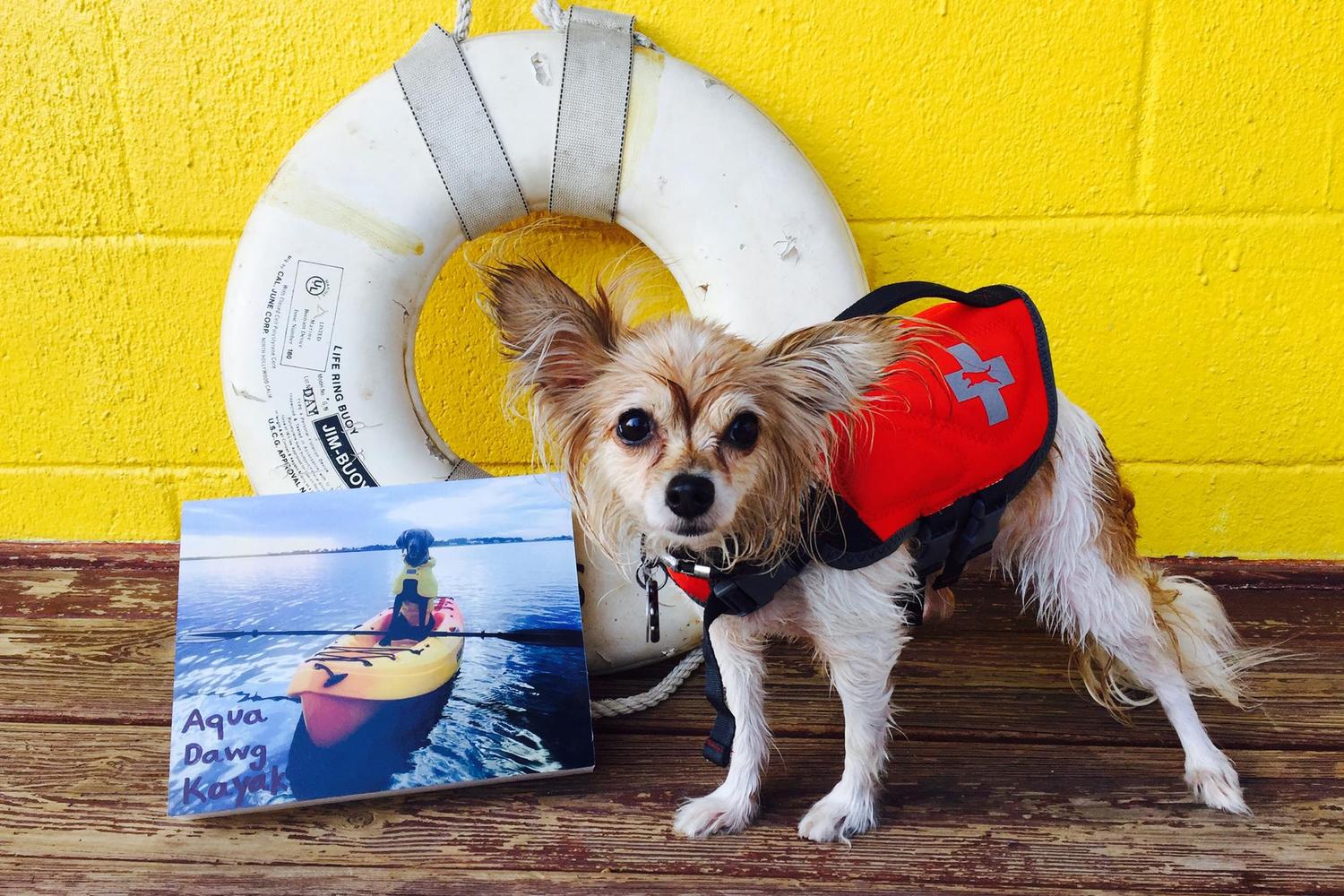 Aqua Dawg Kayak 1